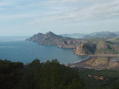 Las cosas de este finde, Y una masacre ecol&oacute;gica en Portm&aacute;n
